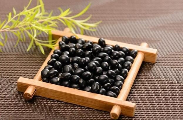 black bean powder