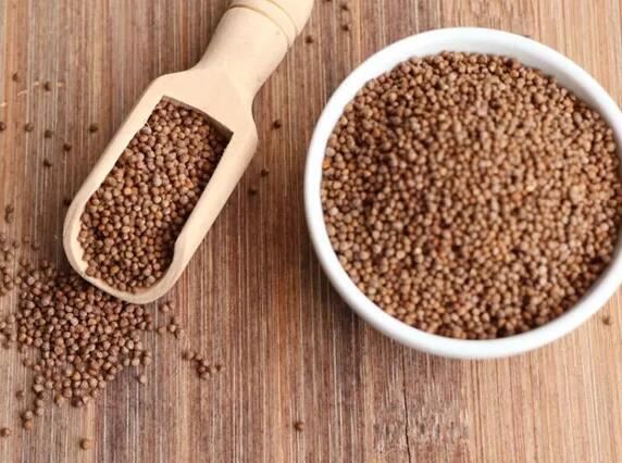 Perilla Seed Powder-1 Perilla Seed Powder-1