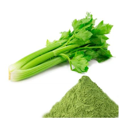Celery Juice Powder-1 Celery Juice Powder-1