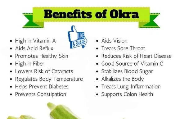Okra Powder Benefits Okra Powder Benefits