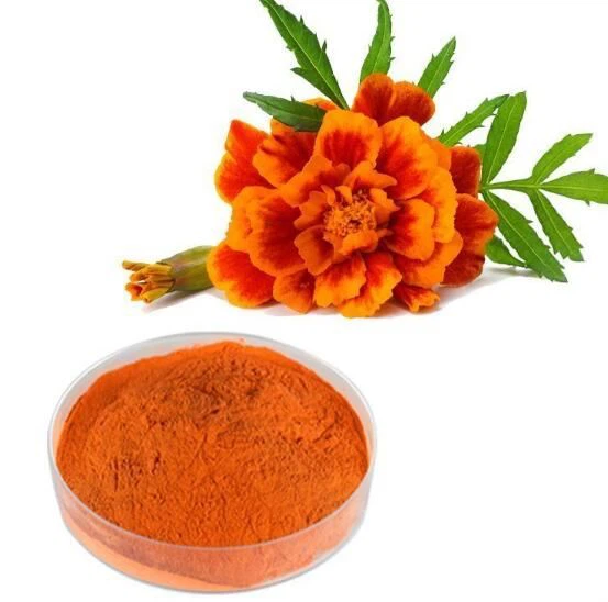 lutein 5% powder lutein 5% powder