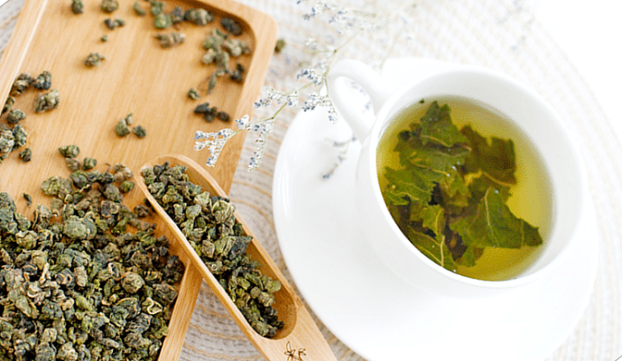 white mulberry leaf applications white mulberry leaf applications