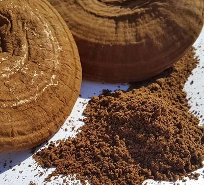 Reishi মাশরুম নির্যাস নির্মাতারা: নিষ্কাশন প্রক্রিয়া এবং ক্ষমতা পরীক্ষা