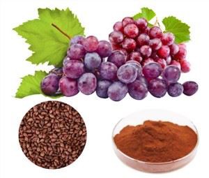 আঙ্গুর বীজ গুঁড়া