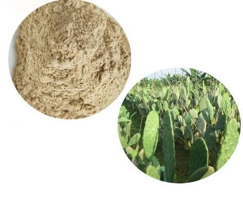 কাঁচা নোপাল ক্যাকটাস পাউডার