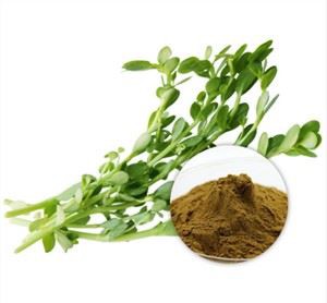 বেকোপা পাউডার