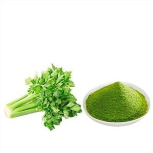 সংস্কৃত সিলারি পাউডার