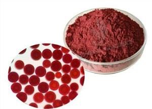 হেমাটোকোকাস প্লুভিয়ালিস পাউডার