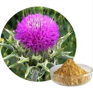 দুধ থিসল সিলিমারিন
