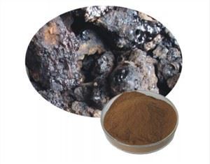 কাঁচা শিলজিৎ পাউডার