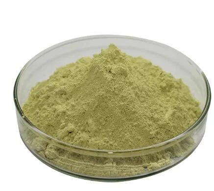 অ্যাঞ্জেলিকা কেইস্কি এক্সট্র্যাক্ট