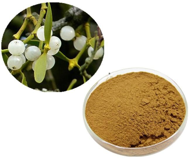 মিসলেটো নির্যাস