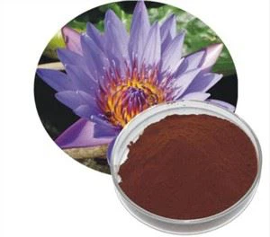 নীল লোটাস পাউডার