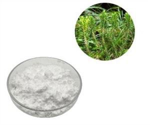 হুপারজাইন