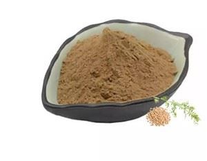 লেন্স Esculenta ফলের নির্যাস