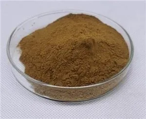 ওরিস রুট পাউডার