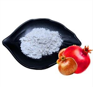 ডালিম ইলাজিক অ্যাসিড