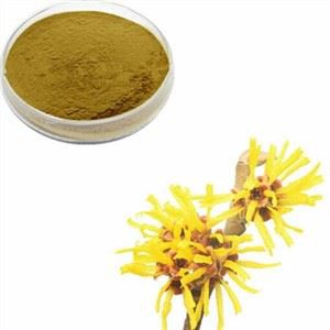 বিশুদ্ধ জাদুকরী হ্যাজেল নির্যাস