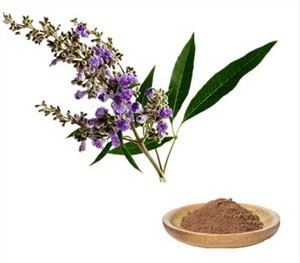 Vitex Agnus Castus নির্যাস
